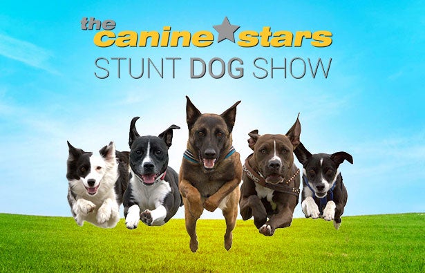 More Info for The Canine Stars Stunt Dog Show